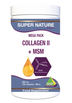 Collagen II + MSM   750 capsules-550 mg  MEGA PACK