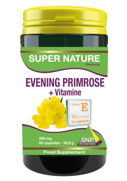 Evening Primrose