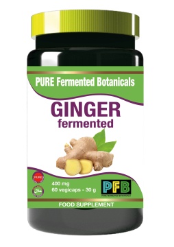 Ginger Fermented 400 mg Pure
